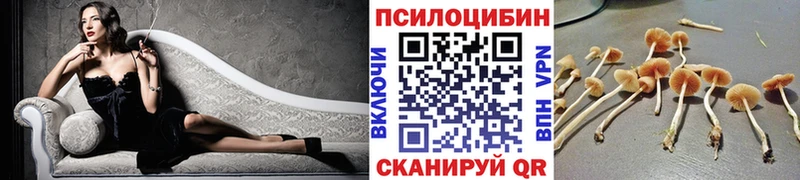 где купить наркоту  Петров Вал  shop формула  Галлюциногенные грибы ЛСД 